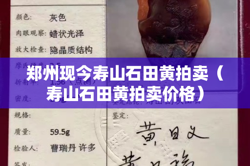 郑州现今寿山石田黄拍卖（寿山石田黄拍卖价格）