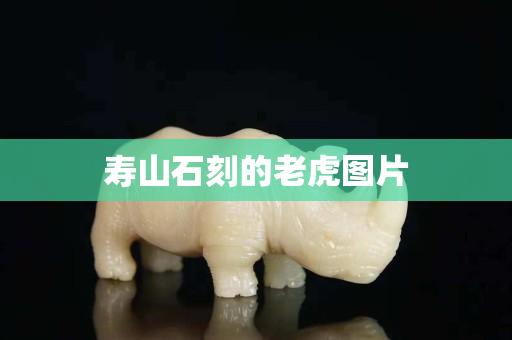 寿山石刻的老虎图片