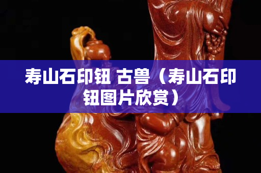 寿山石印钮 古兽（寿山石印钮图片欣赏）