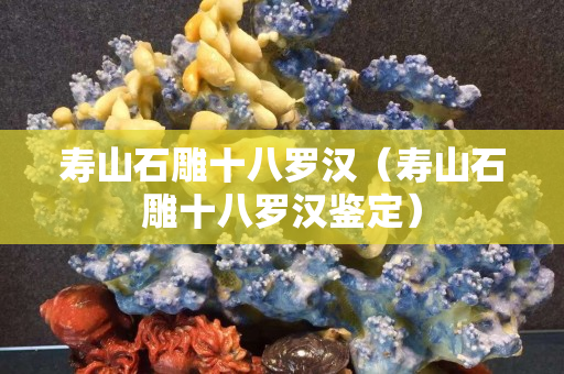 寿山石雕十八罗汉（寿山石雕十八罗汉鉴定）