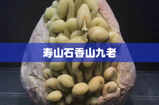 寿山石香山九老