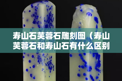 寿山石芙蓉石雕刻图（寿山芙蓉石和寿山石有什么区别）