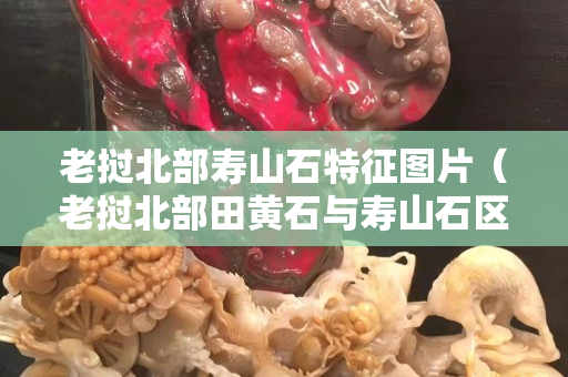 老挝北部寿山石特征图片（老挝北部田黄石与寿山石区别）