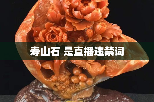 寿山石 是直播违禁词