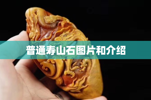 普通寿山石图片和介绍