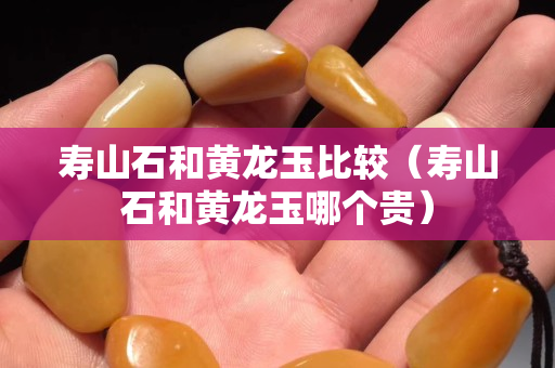 寿山石和黄龙玉比较（寿山石和黄龙玉哪个贵）
