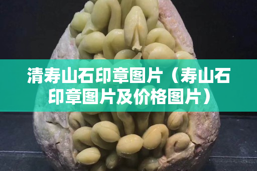 清寿山石印章图片（寿山石印章图片及价格图片）