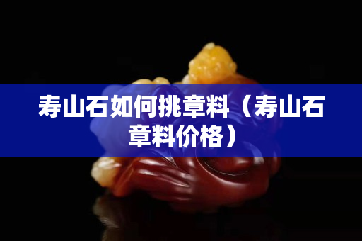 寿山石如何挑章料（寿山石章料价格）