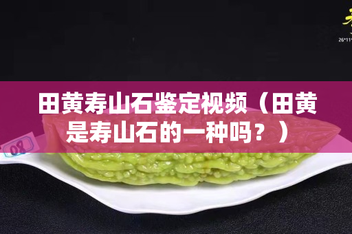 田黄寿山石鉴定视频（田黄是寿山石的一种吗？）