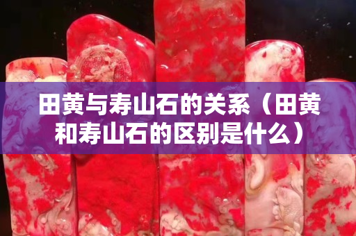 田黄与寿山石的关系（田黄和寿山石的区别是什么）