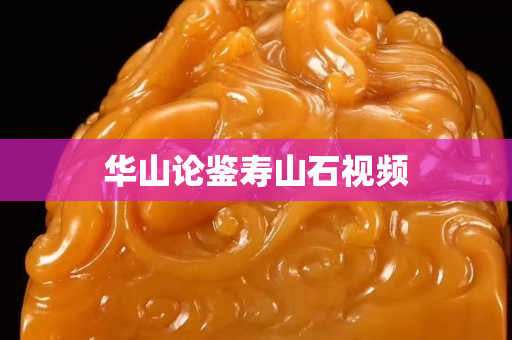 华山论鉴寿山石视频