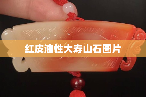 红皮油性大寿山石图片