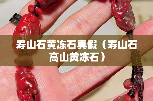 寿山石黄冻石真假（寿山石高山黄冻石）