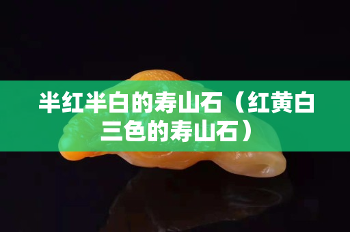 半红半白的寿山石（红黄白三色的寿山石）