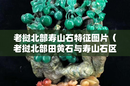 老挝北部寿山石特征图片（老挝北部田黄石与寿山石区别）