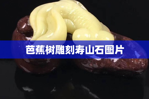 芭蕉树雕刻寿山石图片