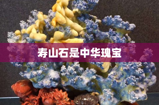 寿山石是中华瑰宝