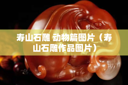 寿山石雕 动物篇图片（寿山石雕作品图片）