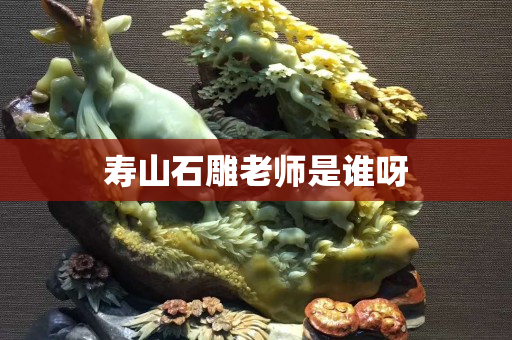 寿山石雕老师是谁呀
