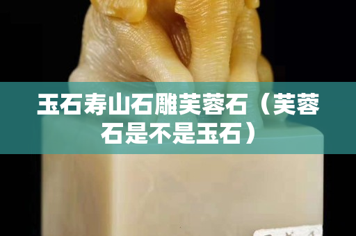 玉石寿山石雕芙蓉石（芙蓉石是不是玉石）