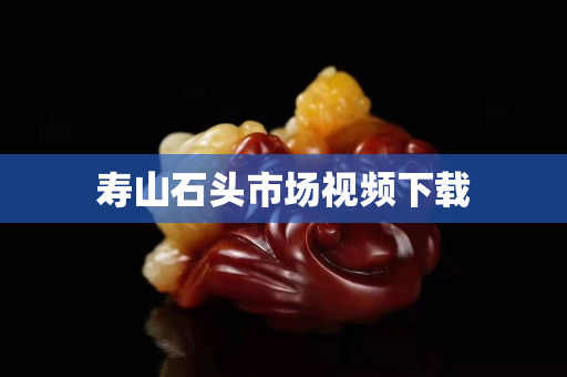 寿山石头市场视频下载