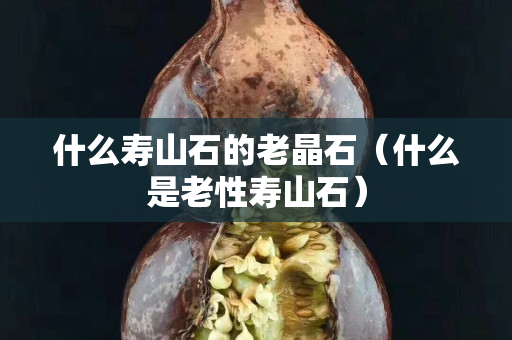 什么寿山石的老晶石（什么是老性寿山石）