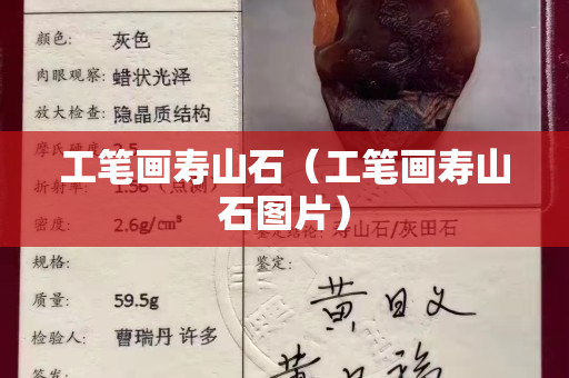工笔画寿山石（工笔画寿山石图片）