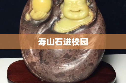 寿山石进校园
