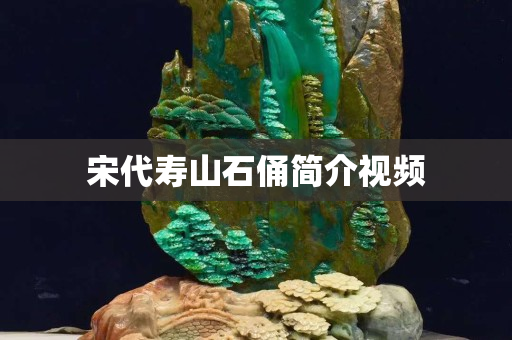 宋代寿山石俑简介视频