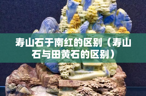 寿山石于南红的区别（寿山石与田黄石的区别）