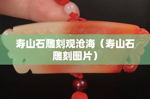 寿山石雕刻观沧海（寿山石雕刻图片）