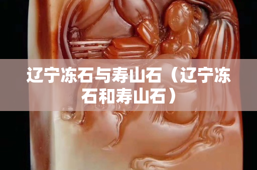 辽宁冻石与寿山石（辽宁冻石和寿山石）