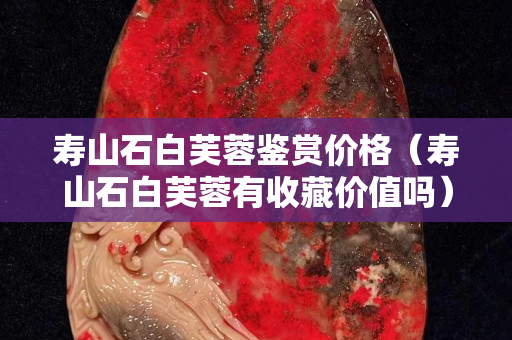 寿山石白芙蓉鉴赏价格（寿山石白芙蓉有收藏价值吗）