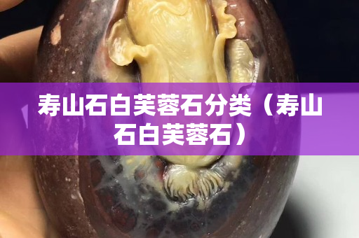 寿山石白芙蓉石分类（寿山石白芙蓉石）