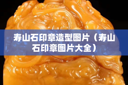 寿山石印章造型图片（寿山石印章图片大全）