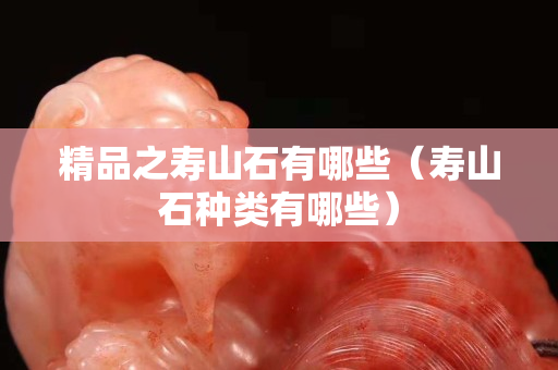 精品之寿山石有哪些（寿山石种类有哪些）
