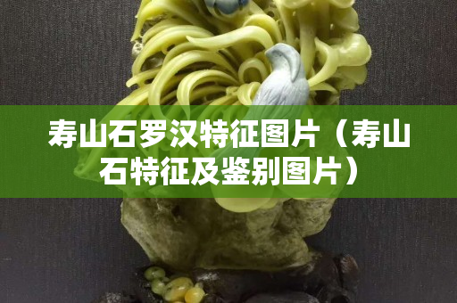 寿山石罗汉特征图片（寿山石特征及鉴别图片）