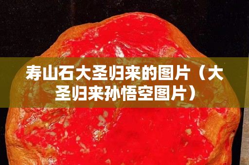 寿山石大圣归来的图片（大圣归来孙悟空图片）