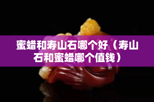 蜜蜡和寿山石哪个好（寿山石和蜜蜡哪个值钱）