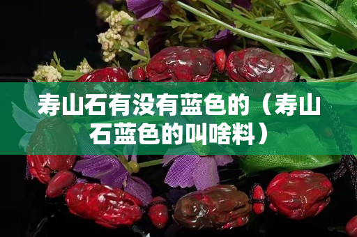 寿山石有没有蓝色的（寿山石蓝色的叫啥料）
