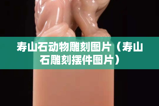 寿山石动物雕刻图片（寿山石雕刻摆件图片）