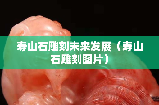 寿山石雕刻未来发展（寿山石雕刻图片）