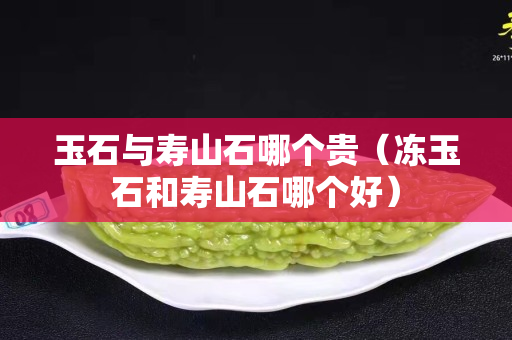 玉石与寿山石哪个贵（冻玉石和寿山石哪个好）