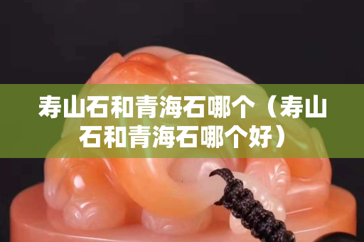 寿山石和青海石哪个（寿山石和青海石哪个好）