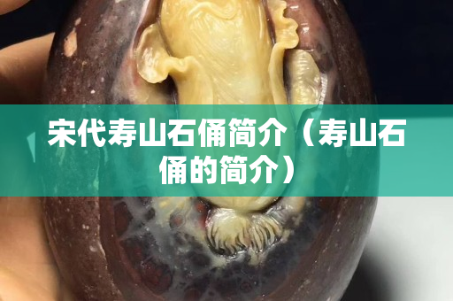 宋代寿山石俑简介（寿山石俑的简介）