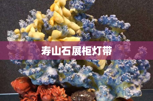 寿山石展柜灯带