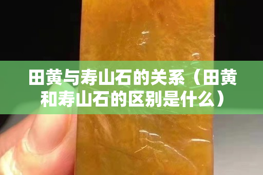 田黄与寿山石的关系（田黄和寿山石的区别是什么）