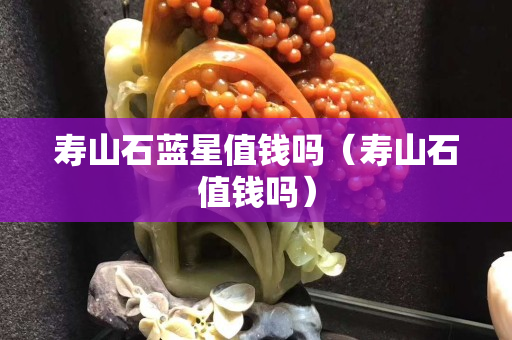 寿山石蓝星值钱吗（寿山石值钱吗）