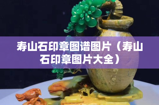 寿山石印章图谱图片（寿山石印章图片大全）