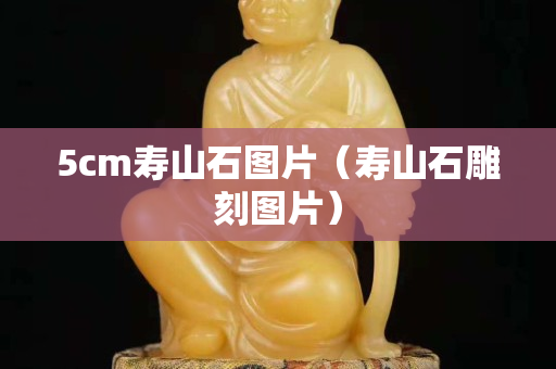 5cm寿山石图片（寿山石雕刻图片）